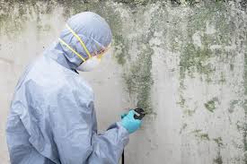 Why You Should Choose Our Mold Remediation Services in Upper Montclair, NJ